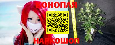 гашик Заводоуковск