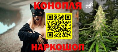 гашик Заводоуковск