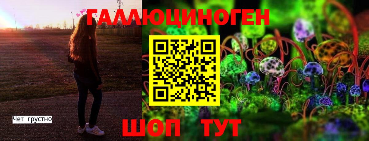 Псилоцибиновые грибы Psilocybine cubensis  Вход с VPN  Дедовск  Псилоцибиновые грибы Psilocybine cubensis 