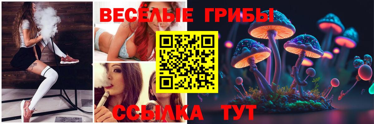 Галлюциногенные грибы Magic Shrooms Дедовск